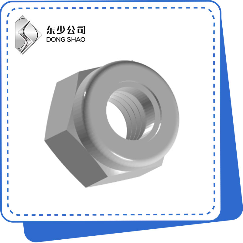 පවතින ව්‍යවර්ථ වර්ගය Hex Nuts ලෝහමය නොවන